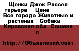 Щенки Джек Рассел терьера  › Цена ­ 15 000 - Все города Животные и растения » Собаки   . Кировская обл.,Сошени п.